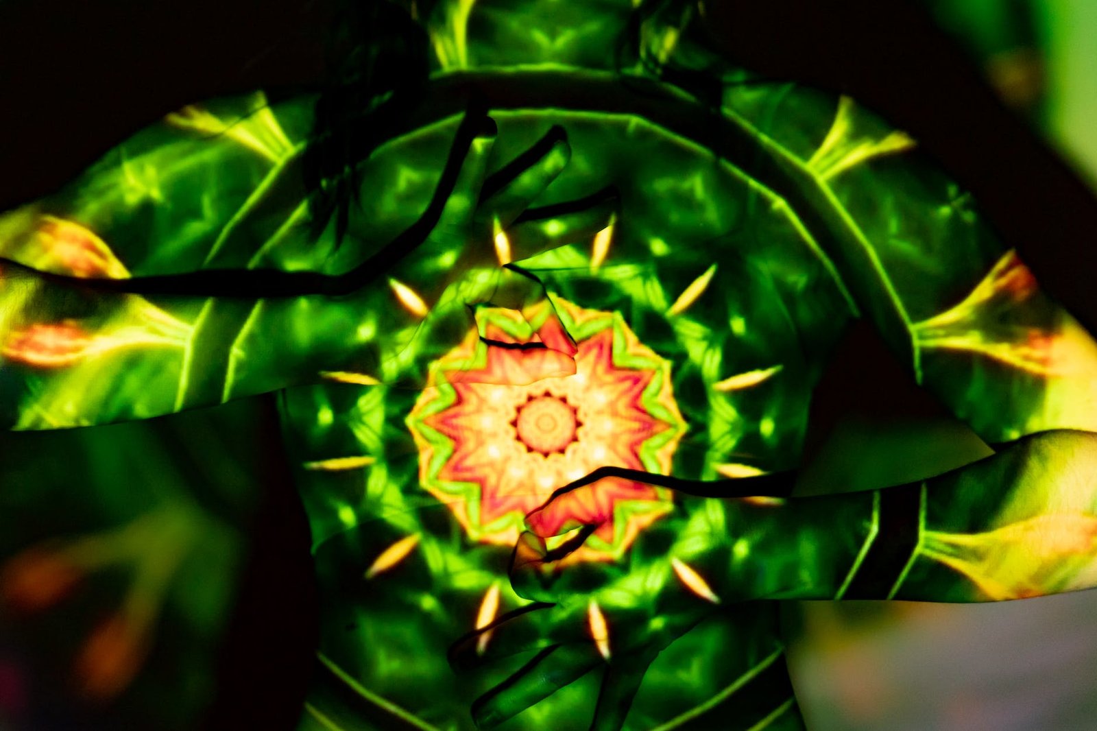 Talk-3: The Spiritual Anatomy